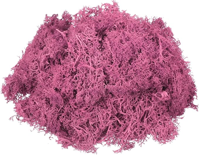 MECCANIXITY 4.6oz Preserved Reindeer Moss, Rose Pink Decorative Artificial Fake Moss for Potted Plants Indoor Crafts Lichen Centerpieces Decor