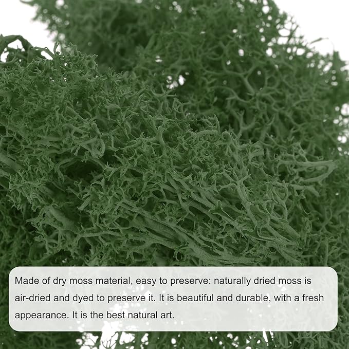 MECCANIXITY 3.5 OZ Moss Fake Craft Moss Artificial Moss Natural Preserved Moss for Craft Arts Floral DIY Project Wall Wedding Garden Patio Table Terrariums Decoration(Grass Green)