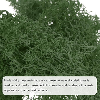 MECCANIXITY 3.5 OZ Moss Fake Craft Moss Artificial Moss Natural Preserved Moss for Craft Arts Floral DIY Project Wall Wedding Garden Patio Table Terrariums Decoration(Grass Green)