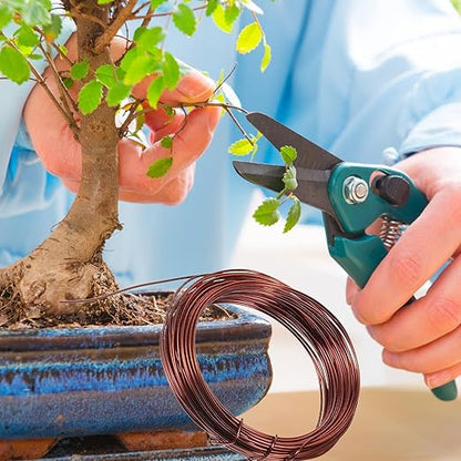 Luxshiny Bonsai Copper Wire Set for Plant Training and Climbing 10 Meters Anodized Aluminum Wire Kit for Garden Bonsai Shaping