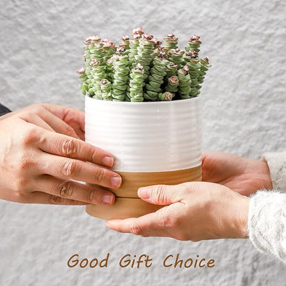 HASENSE 4.6 Inch Plant Pots, Ceramic Flower Pots for Indoor Plants, Small White Planter with Drainage Hole and Saucer, Cute Mini Windowsill Tabletop Decor, Set of 4
