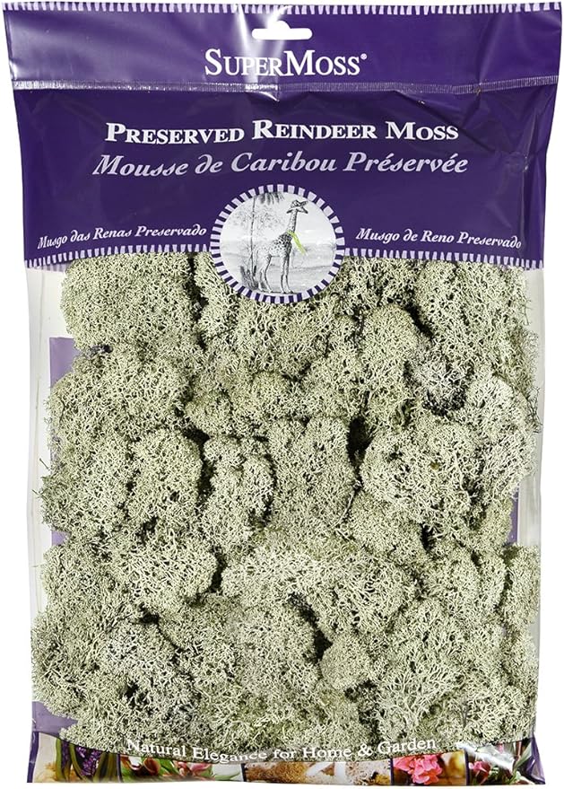 SuperMoss (25140) Reindeer Moss Preserved, Moss Green, 8oz (200 cubic inch)