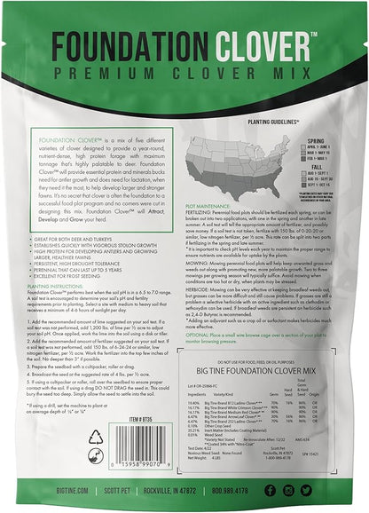 Big Tine Food Plot Mix, Deer Attractant, Foundation Clover, Premium Clover Mix, 4 lbs Bag, Perennial, Great for Food Plots, High Drought Tolerance