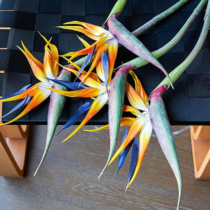 Artificial Flowers Bird of Paradise 37'' Large Latex Fake Greenery Plants Long Stem Red Plants 2Pcs for Home,Living Room,Bedroom,Dining Table(Orange 2pcs)