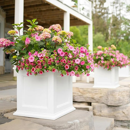 Mayne Fairview Self Watering Planter Box - 20 Inch Large Square, Classic Inset Panels, New England Architecture, Double Wall, UV & Weather Resistant for Indoor and Outdoor Use, White