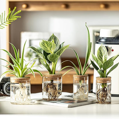 Glass Plant Propagation Stations for Plants – Set of 8(4 Large & 4 Small) Hydroponic Vases for Plant Cuttings,Flower Arrangements, Home & Office Decor–Desktop Vases for Living Room, Bedroom (8)