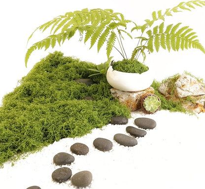 Green Moss Crafts, Artificial Grass Forest Potted Plants, DIY Craft Decoration for Wedding Christmas Party Decoration, Garden Flower Pots Home Decoration Indoor Planting (5.29 Ounces)