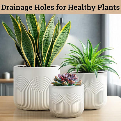 Ceramic Pots for Plants Set of 3 Sizes - 6, 5, 4 Inch Diameter Plant Pots with Drainage Holes - Ceramic Planters for Indoor Plants - Decorative Flower Pot - Plant Pot with Drainage - Indoor Planter