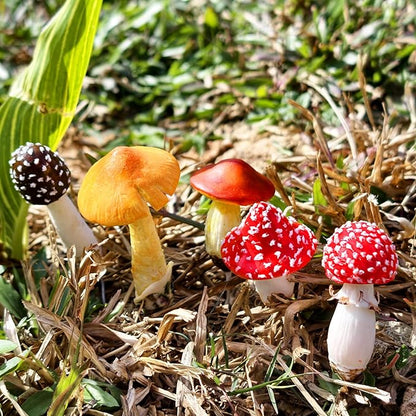 5-Pack Handmade Clay Mushrooms Miniature Fairy Garden Decor - DIY Mini Mushrooms for Terrariums Potted Plant Holiday Ornaments & Desktop Decorations