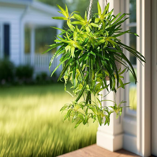 2 Pcs Artificial Spider Hanging Plant Artificial Bracketplant Chlorophytum Fake Greenery for Outdoor Porch Patio Window Shelf Office Garden Home Decor (Gold)