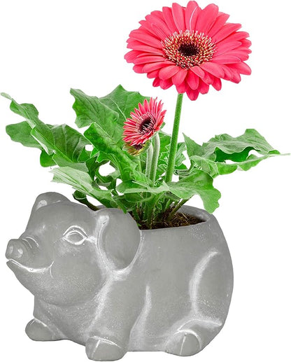 Classic Home and Garden Cement Buddies Animal Planter - Cute Desk Decoration - UV Coated Animal Vase w/Drain Plug -Succulent Plant Pot for Indoor/Outdoor Use (Pig Planter, Natural, Large)