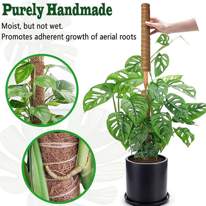2 Pack 21 Inch Moss Poles, Stackable Moss Pole for Plants Monstera, 37 Inch Tall Moss Poles for Climbing Plants Indoor, Coir Totem Plant Support Stakes Stand for Potted Plants, Pothos