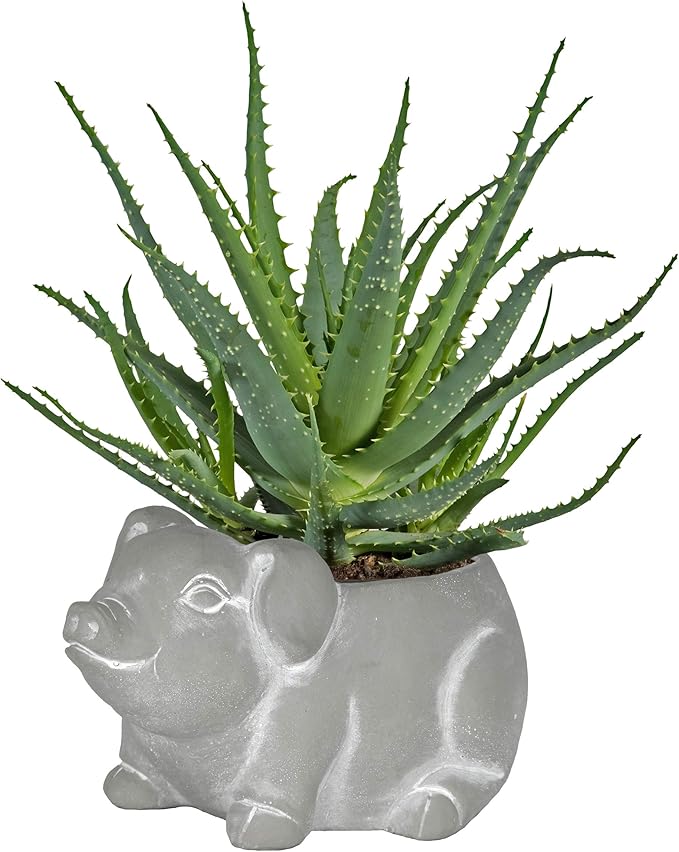 Classic Home and Garden Cement Buddies Animal Planter - Cute Desk Decoration - UV Coated Animal Vase w/Drain Plug -Succulent Plant Pot for Indoor/Outdoor Use (Pig Planter, Natural, Large)