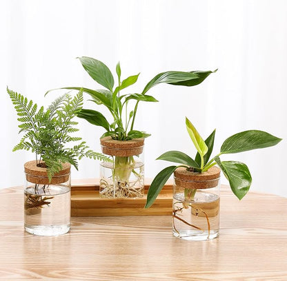 3Pcs Propagation Stations, Plant Terrarium with Lid and Wooden Stand,Desktop Glass Planter Hydroponics Vase,Home Office Living Room Decor Gifts