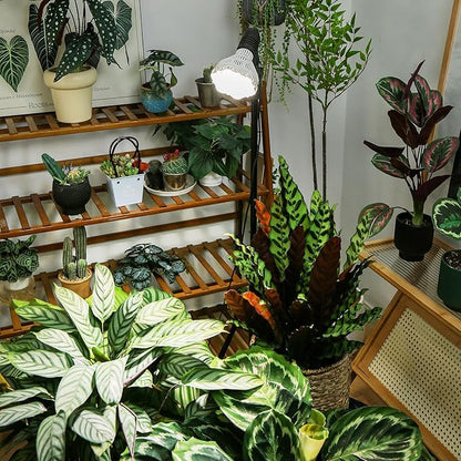 SANSI Grow Lights for Indoor Plants, Dimmable 40W Plant Lights for Indoor Growing, 35.8"-47" Adjustable Tripod Standing Grow Light Plant Light with Remote Control Auto On/Off Timer