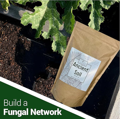 Elm Dirt Premium Ancient Soil for All Plants - Organic for Outdoor & Indoor Use | Garden Soil for Plant Nutrients Growth & Protect from Bugs - Roots Organic (6lbs)