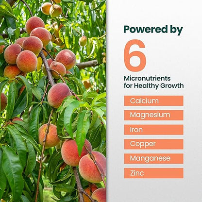 32oz Peach Plant Fertilizer - Makes 32 Gallons of Peach Tree Fertilizer for Peaches, Liquid Plant Food with Macronutrients + Micronutrients for Bigger, Sweeter Fruits, Healthy Growth & Strong Roots