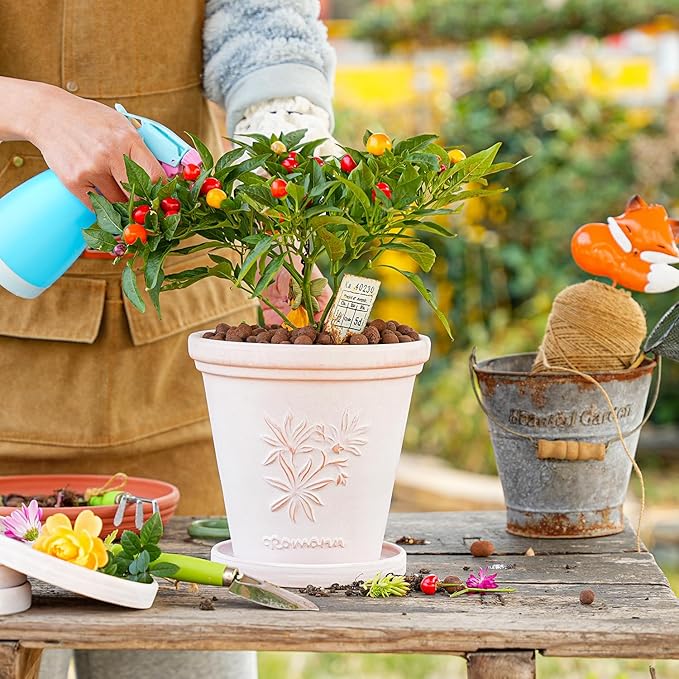 Sungmor Set of 3 Terra Cotta Pots with Saucer & Drainage Hole, 8 Inch Large & Deep Clay Pots, Unique Embossed & Pretty Color Pottery Planters for Plants Orchid Cactus Succulent