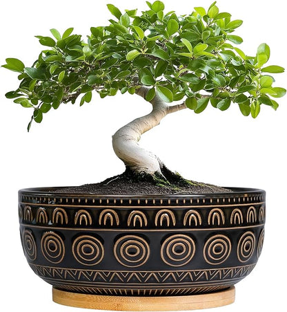 Ceramic Bonsai Pots - 8 Inch Plant Pot for Succulent, Round Planter for Indoor Plants, Shallow Planters with Drainage Hole and Tray, Boho Bonsai Bowl, Living Room Decor, Black