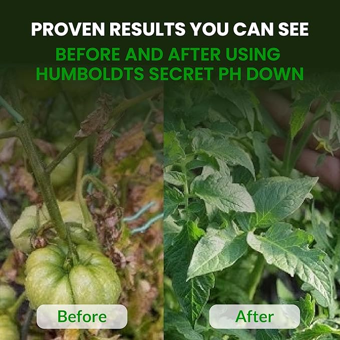 Humboldts Secret Golden Tree Liquid Plant Food | Enhances Growth Indoors or Outdoors | All-in-One Plant Nutrients for Vegetables, Trees, Flowers, Fruits, Roses, Lawns, Tomatoes | 8 Ounce