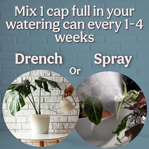 Organic Liquid Kelp & Seaweed Extract (Ecklonia Maxima) Super Plant Food - Indoor Houseplant Fertilizer - Organic Fertilizer for Flowers, Seedlings & Gardens - 16oz Treats 110 Gallons
