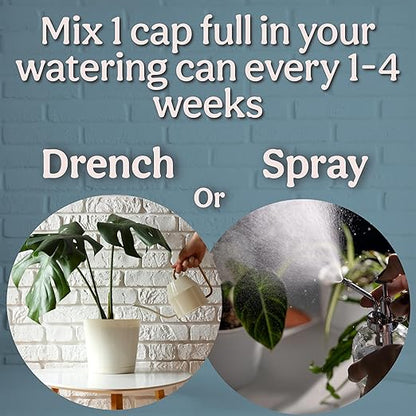 Organic Liquid Kelp & Seaweed Extract (Ecklonia Maxima) Super Plant Food - Indoor Houseplant Fertilizer - Organic Fertilizer for Flowers, Seedlings & Gardens - 16oz Treats 110 Gallons