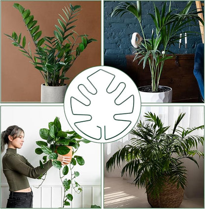 5 PCS Iron Monstera Plant Support, Plant Supports for Indoor Plants, Metal Monstera Plant Stabilizer, Plants Stem Holder for Thriving Growth Indoor Plants(Green)