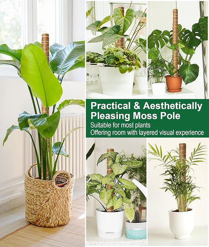 EAONE 96'' Moss Pole for Plants Indoor, 6 Pack 16” Monstera Plant Support Moss Stick for Climbing Plants, Stackable Coir Totem Pole Monstera Stakes with 12 Plant Labels & 100 Ties for Potted Plants
