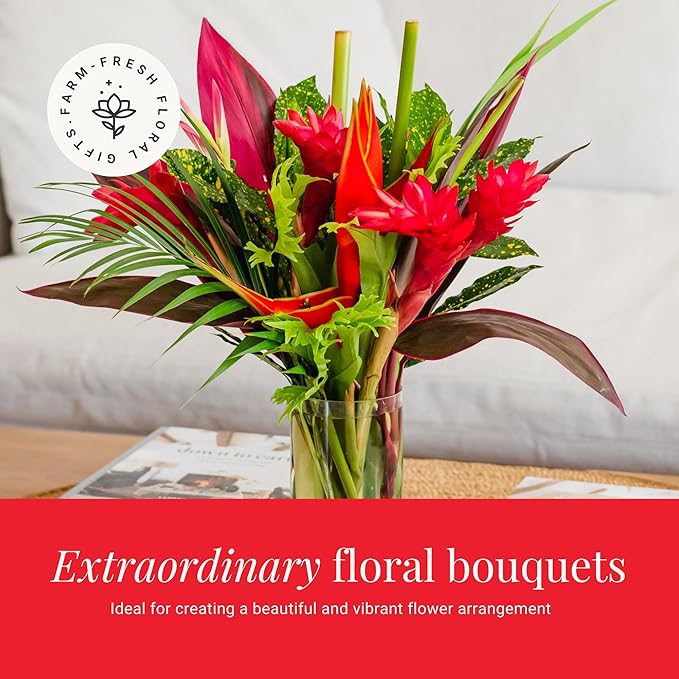 BloomsyBox: Tropical Bouquet Treasure with Bright Heliconias, Red Ginger and Tropical Greener | Fresh Cut Flowers, Hand-Tied, Farm Fresh Flowers Bouquet | Perfect for any special occasion | No Vase