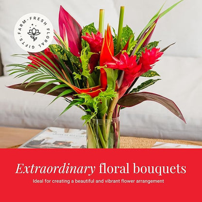 BloomsyBox: Tropical Bouquet Treasure with Bright Heliconias, Red Ginger and Tropical Greener | Fresh Cut Flowers, Hand-Tied, Farm Fresh Flowers Bouquet | Perfect for any special occasion | No Vase