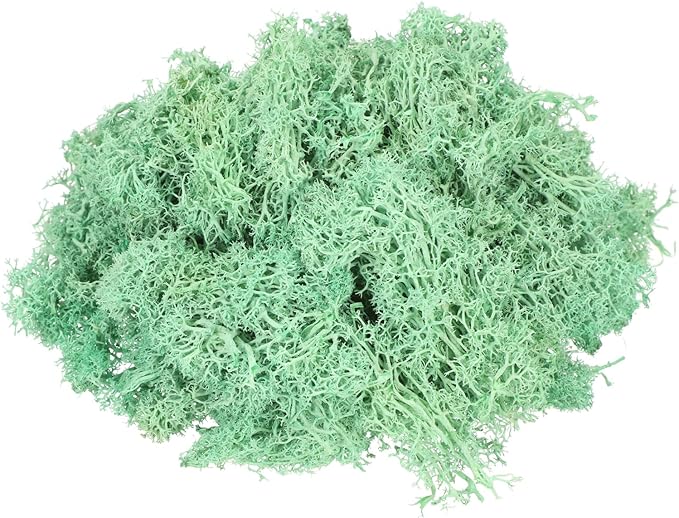 MECCANIXITY 4.6oz Preserved Reindeer Moss, Green Decorative Artificial Fake Moss for Potted Plants Indoor Crafts Lichen Centerpieces Decor