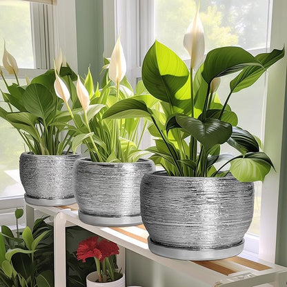 SQOWL Ceramic Plant Pots - 6 Inch Planter for Indoor Outdoor Plants, Modern Round Flower Pots with Drainage Hole and Saucer, Decorative Small Planter, Office Decor, Gifts for Women Men, Silver