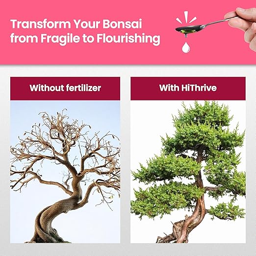 16oz Bonsai Tree Live Liquid Plant Food - Makes 32 Gallons of Bonsai Fertilizer Liquid, Premium Macronutrient Formula Enriched with Micronutrients for Healthy Roots, Branching & Foliage