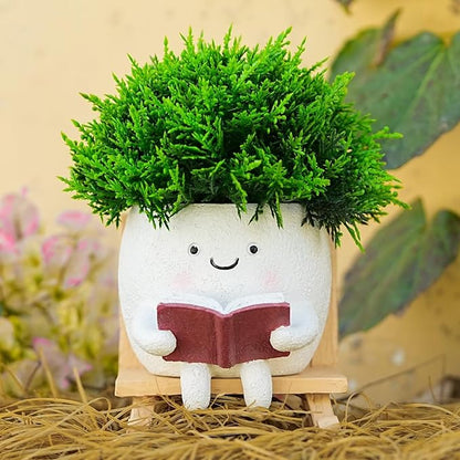 Adorable Rocking Chair Succulent Planter - Cute Small Flower Pot for Plants, Home Décor & Office Desk Decorations (Drainage Hole Included)