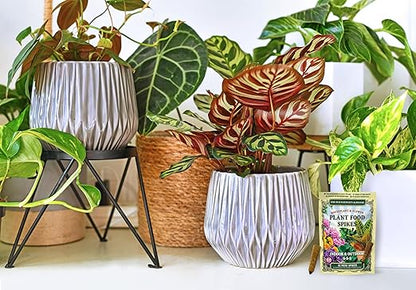 The Old Farmer's Almanac Houseplant & Flower Plant Food Mini Spikes - NPK 5-5-5 for Continuous Feeding and Vibrant Colors (24 Mini Spikes)
