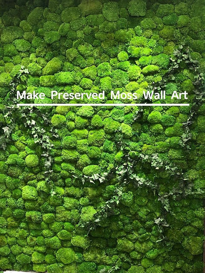 Preserved Pole Moss Pillow Bun Cushion Natural Green Decorative Real Natural Green DIY Kit Terrariu7r Table Decor Wedding (10.5 sq.ft., Green-B)