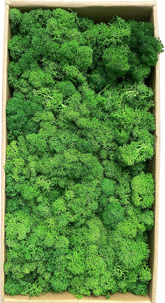 Preserved Moss 1.1 lb Artificial Moss for Potted Plants Natural Fresh Green Moss for Crafts Fake Moss Arts Orchid Moss Wall Decor Wedding Centerpieces Garden Terrariums Christmas Decoration-MidGreen