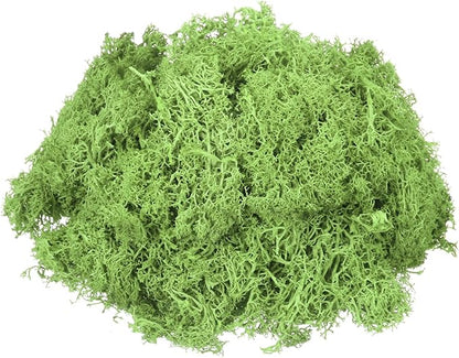 MECCANIXITY 3oz Preserved Reindeer Moss, Grass Green Decorative Artificial Fake Moss for Potted Plants Indoor Crafts Lichen Centerpieces Decor