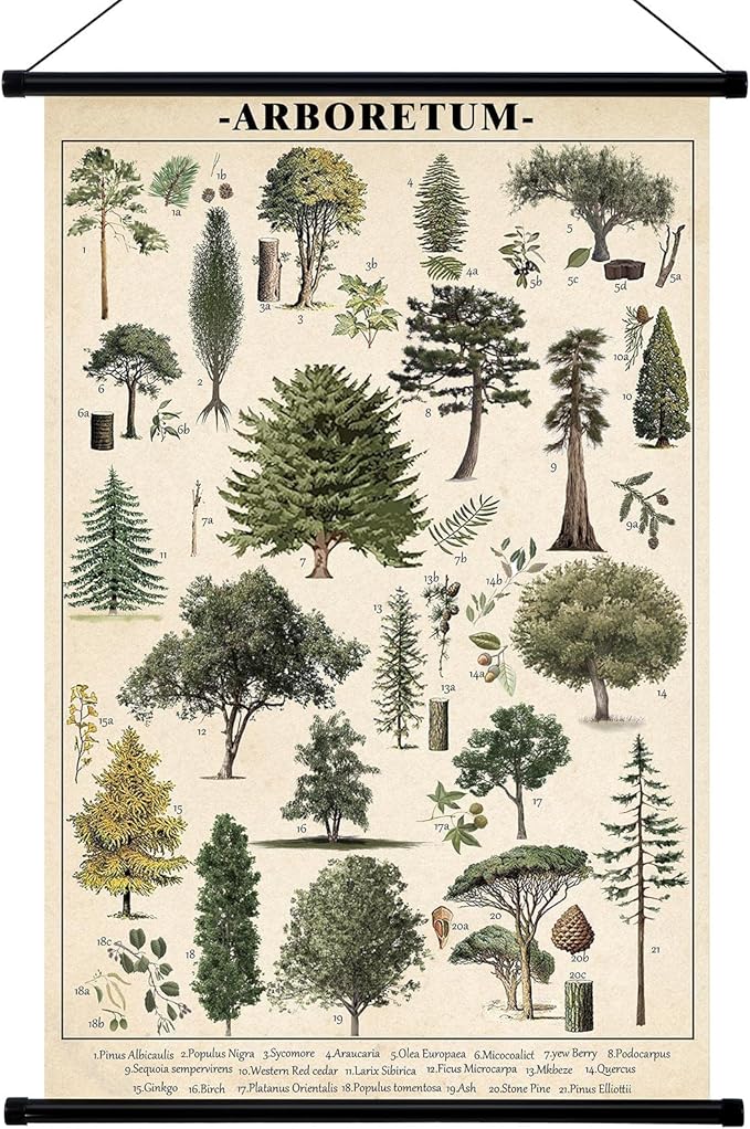 Geyee Tree Vintage Poster Wall decor Mallard Ducks Hunting Art Knowledge Picture Prints Wall Decor for Home Kitchen Office Classroom Living Room Bedroom Frame, 15.8 x 23.6 Inch