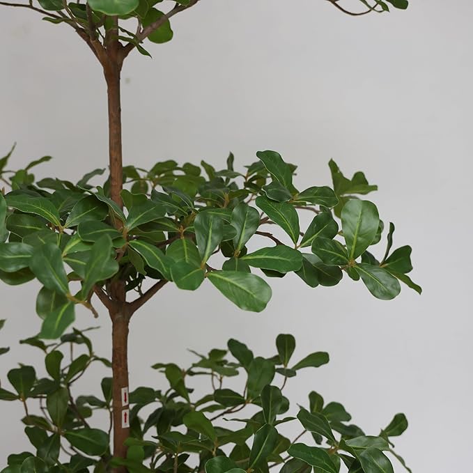 Artificial Black Olive Tree, 6FT Tall Big Leaf Faux Shady Lady Tree with Potted, Fake Olive Tree for Home Decor Indoor