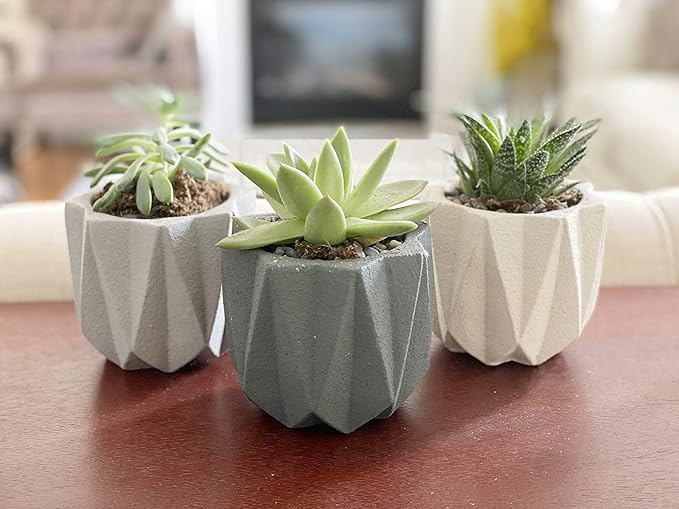 Geometric Nordic Cement Succulent Pots 4.3" Planters with Drainage | 3 Pack…
