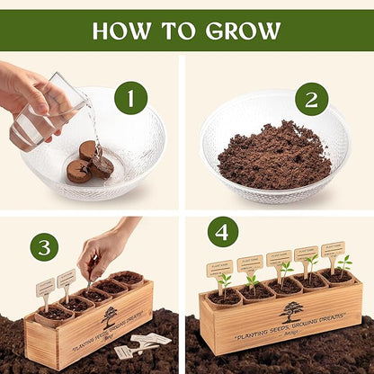 DIY Bonsai Tree Kit for Beginners – 5X Unique Japanese Bonzai Trees | Complete Indoor Bonsai Starter Kit for Growing Bonsai Plants with Tools & Planters – DIY Gardening Gifts for Women & Men