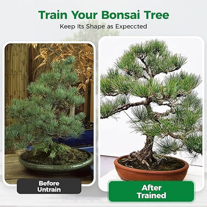 189FT Easy to Bend Bonsai Wire, Aluminum Bonsai Tree Wire in 5 Size -1mm,1.5mm,2mm,2.5mm,3mm with Cutter Set for Training Thin or Thick Branches