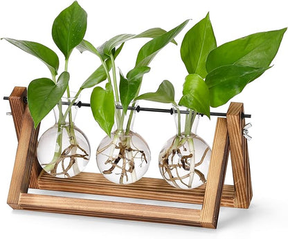 YIBOT Plants Propagation Stations,Desk Plant Terrarium with Retro Wooden Stand,Plant Lover Gifts for Women for Hydroponics Plants Home Garden Wedding Decor(3 Bulb Vase)