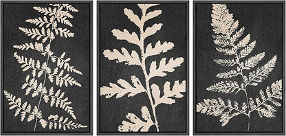 Ashbrook Framed Canvas Print Wall Art Set Black Forest Fern Plant Silhouette Nature Wilderness Illustrations Modern Art Rustic Chic Colorful for Living Room, Bedroom, Office - 16"x24"x3 Black