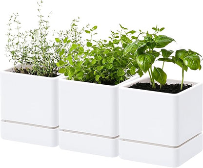 D'vine Dev 4 Inch Herb Planter Pot, Plastic Planter with Drainage Holes and Saucer, Modern Decorative Gardening Pot for Indoor Plants, Flowers, Herbs, Succulents, White, Set of 3, 76-Y-A3-1