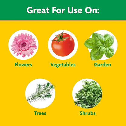 Miracle-Gro Water Soluble All Purpose Plant Food and Garden Feeder Bundle: Use on Flowers, Vegetables, Trees, and Houseplants