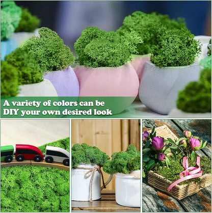 Jadive 21.2 oz Moss Preserved 1.32 Lbs Green Preserved Reindeer Moss Bulk Artificial Decorative DIY Kit for Craft Wall Decor Fairy Gardens Terrariums Art Project Table Floral Decor
