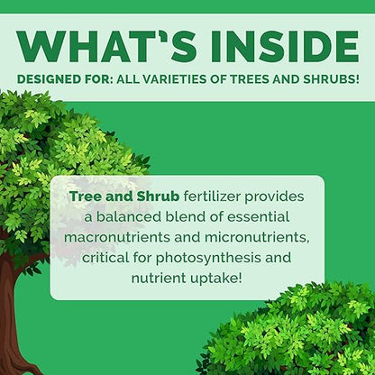 Bloom City's Tree & Shrub Fertilizer - Tree & Evergreen - Shrub Fertilizer for Healthier Growth, Quart (32oz)
