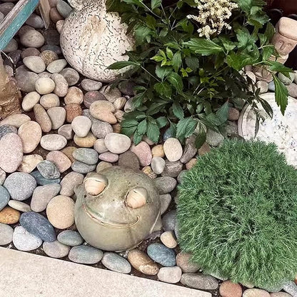 Natural River Rocks-40 lbs of Pebbles and River Stones,2-3 Inch Plant Rocks for Landscaping,Garden Paving,Crafting,Walkways,and Outdoor Decorative Stone,Mexican Beach River Rocks
